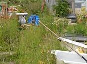 Allotment Digging Victory