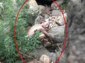 Guild Wars Cosplayer Mistaken Real Life Gollum