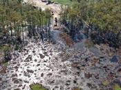 Louisiana Sinkhole Collapses Into Aquifer: ‘Active Volcanic Geothermal’
