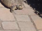 Instant Life Captured Eternity Lately