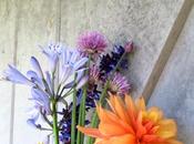Sunday Bouquet: Multicolor Bunch from Hidden Pond
