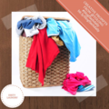 Walden Woods Dirty Laundry Thoreau, Flash Inspired #BlogFlashDaily