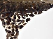 Your Skin Glowing With Chia Seeds