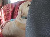 Mullaghmore July 2014