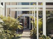 Make Your Tiny Yard Feel Spacious