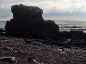 Easington Colliery Beach