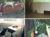 Instagram Lately: Humans Funny Breed