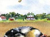 Mosey’s Field Schiffer Publishing