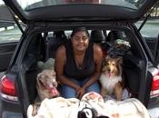 Committed Know Crazy (about Dog).