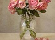 Update: Demonic Dunce Douchebags Strike Again