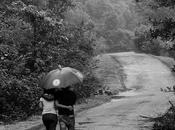 Adding ZEST Life Continues.......