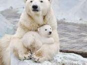 Patricia Randolph’s Madravenspeak: Doomsday Climate Scenario Longer Far-fetched