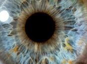 Candle Visible Miles