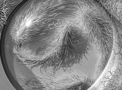 Paper Arts Hand Microbes