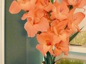 Gladiolus Flower Facts