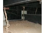 There More Issues with Termites Crawlspace Homes?