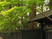 新緑に萌ゆる角館 Kakunodate, Verdant Samurai Residences