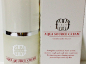 Skin Shop Aqua Source Cream [Sponsored] Review