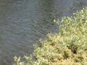 Practical Tips Reduce Stress