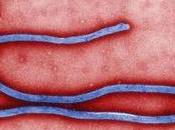 Out-of-control Ebola Epidemic America?