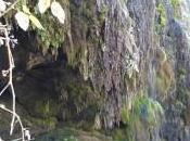 It’s Always About Scorpions, Visiting Arizona? Tonto Natural Bridge