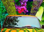 It’s Late Pretty Nice Your Summer Playlist [premiere]