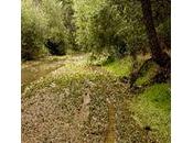 Gila National Forest Plan Allows 3,000 Miles Off-road Vehicles