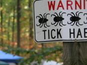 Killing Wildlife Very Health