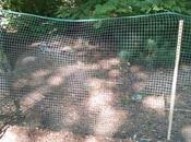 Lesson 1088 Netting Keep Them Yard