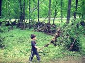 Boy, Stick Walk Woods: Setting Boundaries Letting Them