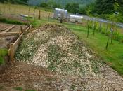 Chippings, Cuttings, Fruit Nuts