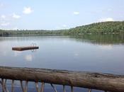 Themeless Thursday: Randomly Beautiful Rooms