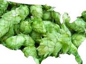 Nation, Under Hops: Geographical Evolution