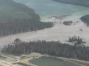 Estimated Million Sockeye Bound Fouled Quesnel Lake