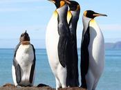 Ocean News: Mercury Levels Rising Surface Waters, Penguin Species Threatened Habitat Degradation, More