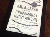 Bronzed with Special Light Americanah Chimamanda Ngozi Adichie
