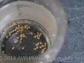 Dear Friend Gardener: August 2014