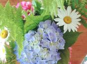 Sunday Bouquet: Cape Flowers Judy’s