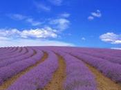 Sunday Devotional: Through Christ Loves