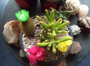 Instant Life Captured Eternity