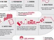 Getting Fresh Vegetables from Source Shelf Quickly Safely