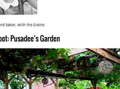 Favorite Healthy Eats “Fittsburgh”