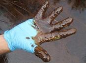 Making Away: Oilspills, Corexit Nova Scotia’s Offshore