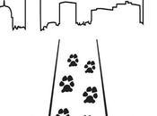 Rescue Runway: Featuring Boston's Finest Supporting Adoption