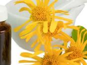 Arnica ‘Super Tonic’ Health, Growth Beauty Hair