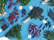 Bialas Farms CSA: Week