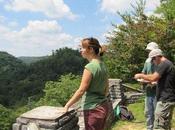 Forest Service Proposes Biggest Daniel Boone Timber Sale Years