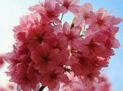 Three Films Aging Parents