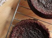 Gluten-Free Almond Chocolate Layer Cake with Roasted Plums