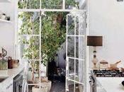 Dream House